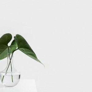 The Origins of Minimalism (Part I)